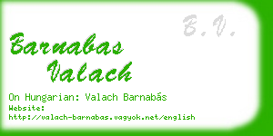barnabas valach business card