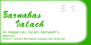 barnabas valach business card